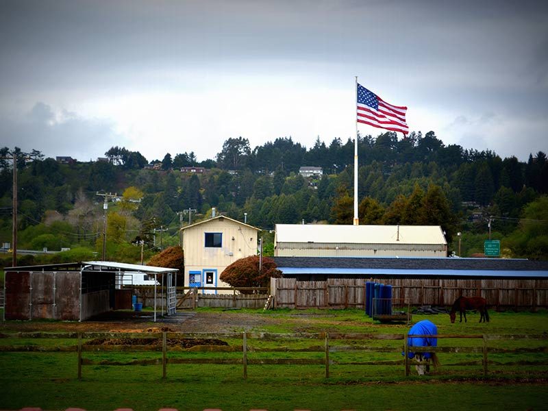 The VIP Boarding & Daycare property in Arcata, with the American flag flying over the grounds